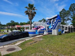 18' Shark - Water Slide