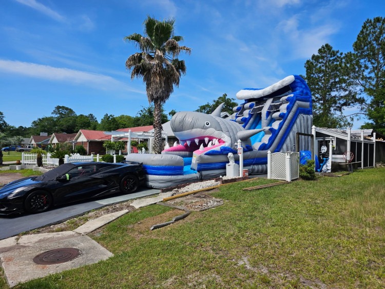 18' Shark - Water Slide